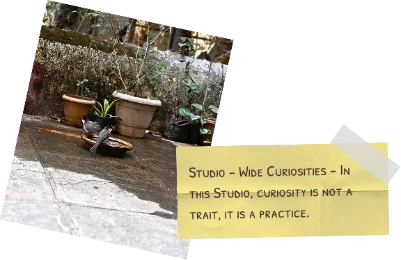 Team Board - Studio eide curiosity